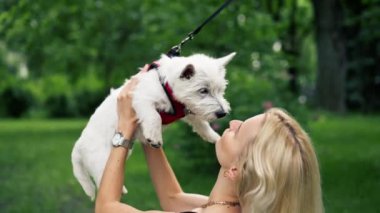 Yazın parkta, kollarının üzerinde yürüyen sarışın bir sahibin kollarında beyaz bir West Highland Terrier ile öpüşüyor ve onunla güneşleniyor.