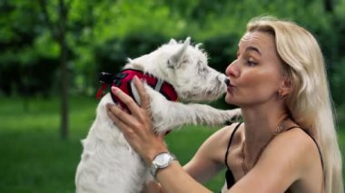 Yazın parkta, kollarının üzerinde yürüyen sarışın bir sahibin kollarında beyaz bir West Highland Terrier ile öpüşüyor ve onunla güneşleniyor.
