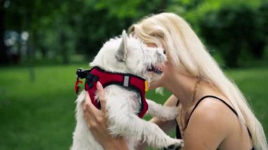 Yazın parkta, kollarının üzerinde yürüyen sarışın bir sahibin kollarında beyaz bir West Highland Terrier ile öpüşüyor ve onunla güneşleniyor.