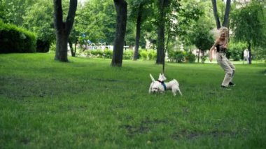 Yazın parkta yürürken, sarışın sahibi West Highland Terrier ve en sevdiği köpeğiyle oynar.