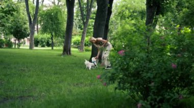 Yazın parkta yürürken, sarışın sahibi West Highland Terrier ve en sevdiği köpeğiyle oynar.