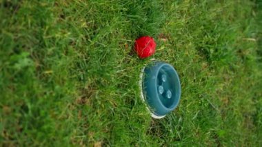 dikey video mavi yeniden kullanılabilir plastik su kabını kırmızı lastik köpek temizleme setinin yanına kapatır sıcak yaz hijyen seti