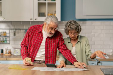 Aydınlık bir mutfakta, masadaki yaşlı, hoş bir çift aylık giderlerini hesaplar aylık giderlerini aylık hayatta kalma süreçlerini hesaplar.