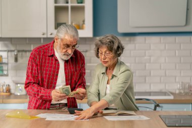 Parlak bir mutfakta, masadaki yaşlı, sevimli bir çift aylık giderlerini hesaplar yıllık giderlerini hesaplar ve aylık yaşam süresini hesaplar.