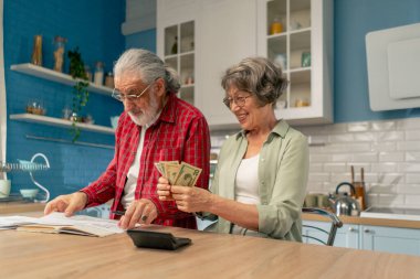 Parlak bir mutfakta, masadaki yaşlı, sevimli bir çift aylık giderlerini hesaplar yıllık giderlerini hesaplar ve aylık yaşam süresini hesaplar.