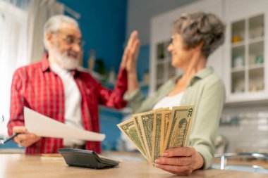 Parlak bir mutfakta para biriktirirken masadaki yaşlı ve tatlı bir çift aylık giderlerini hesaplar yıllık giderlerini hesaplar aylık sağlık giderlerini hesaplar aylık sayım parasını sayar