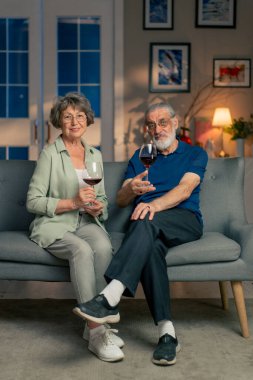 Parlak oturma odası, kanepe, büyükanne ve büyükbaba. Yaşlı çiftin kameraya bakması için kırmızı şarap içiyorlar.
