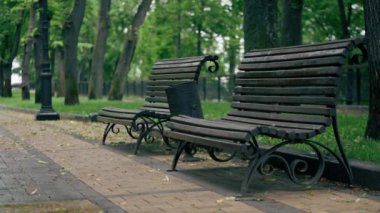 Ukrayna Kyiv Yazı 2 Ağustos 2024 Mariinsky Parkı dinlenme alanı birçok ağaç kaldırımı yürüyüş için bankları ve çitleri olan
