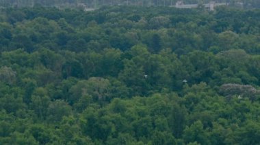 Ukrayna Kyiv Yazı 2 Ağustos 2024 Park alanı Dinyeper Otoyolu boyunca uzanan yeşil alanlara kuşbakışı bakan park alanı