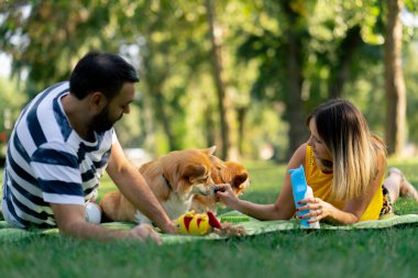 Yazın parkta bir çift yan yana battaniyeye uzanmış Corgi köpeklerini dinlendiriyordu. Köpekler için favori oyuncaklar büyük aileler için sevgi besliyordu.