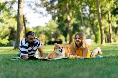 Yazın parkta bir çift yan yana battaniyeye uzanmış Corgi köpeklerini dinlendiriyordu. Köpekler için favori oyuncaklar büyük aileler için sevgi besliyordu.