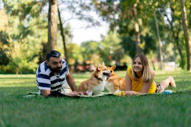 Yazın parkta bir çift yan yana battaniyeye uzanmış Corgi köpeklerini dinlendiriyordu. Köpekler için favori oyuncaklar büyük aileler için sevgi besliyordu.