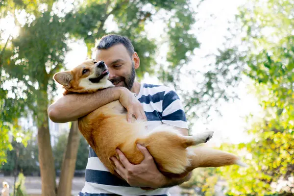 Yazın parkta çizgili tişörtlü sahibi başını tutarak kollarına bastırıyor. Küçük bir çocuk gibi küçük bir köpek evcil hayvanını seviyor.