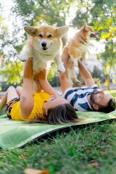 Yazın parkta çimenlerin üzerinde uzanmış küçük bir çocuğun hayvanlara olan aşkı gibi Corgi köpeğine sarılıyorlar.