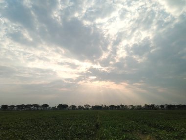 Gökyüzü ve pirinç tarlalarıyla güzel bir manzara.