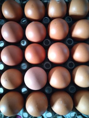 Tavukların yumurtladığı yumurtalar.