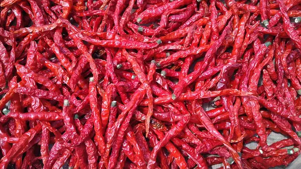 stock image Chilli, a complementary seasoning for cooking