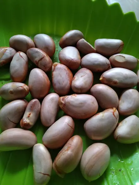 Buharda pişmiş Jackfruit tohumları.