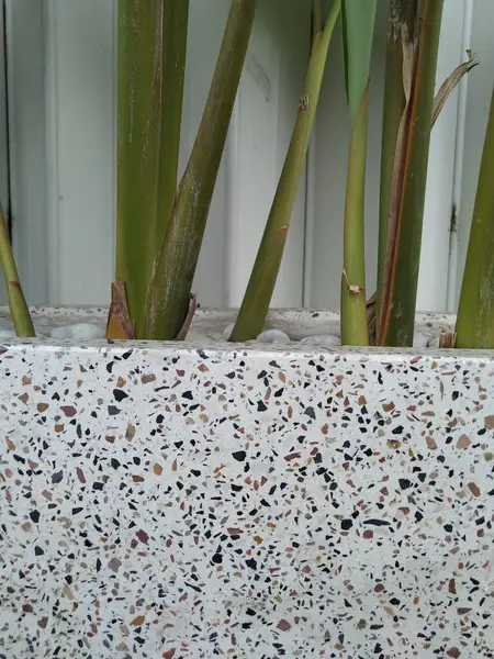 stock image Pots with dotted patterns like ceramics with the addition of small white stones