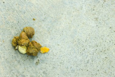 Bahçeye tavuk dışkısı.