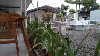 Bitkiler 1. Rüzgarla savrulan bir bitki