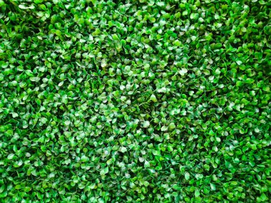 Arkaplan olarak yapay yeşil bitkiler