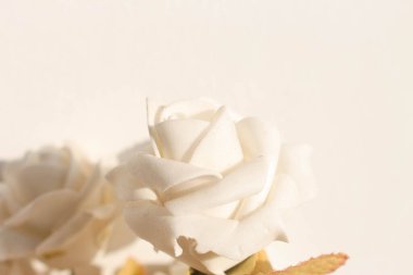 Beyaz arkaplanda sahte beyaz gül çiçeği