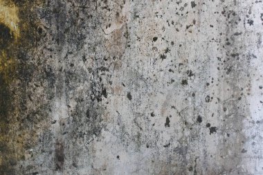 Duvarın katmanı zarar görmeye başladı.