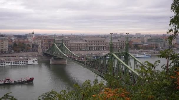 Köprüde Protesto Eden Insanlar Altından Geçen Bir Gemi — Stok video