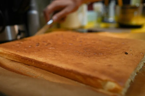 Tortenboden Heiß Aus Dem Ofen — Stockfoto