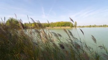 Stones among grass and the lakeside water