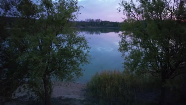 Flying Lake Two Trees Sunset — Stock video