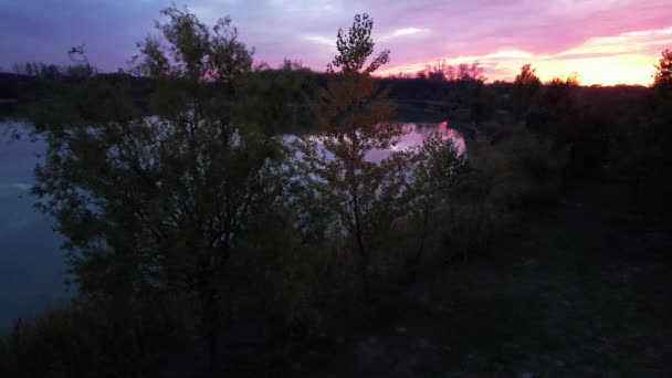 Drone Shot Lake Trees Sunset — Video