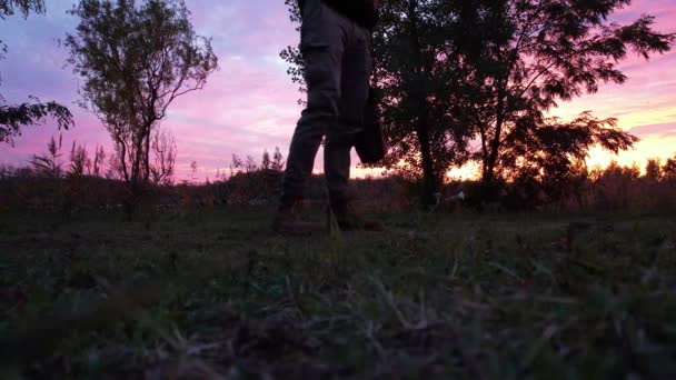 Walking Pink Sunset Stopping Finding Something Ground — Video Stock