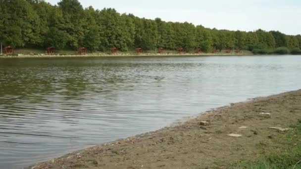 商业捕鱼湖中大自然的平静 — 图库视频影像
