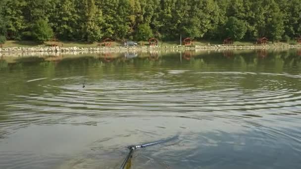 Close Fish Hook Fighting Water — Stok video