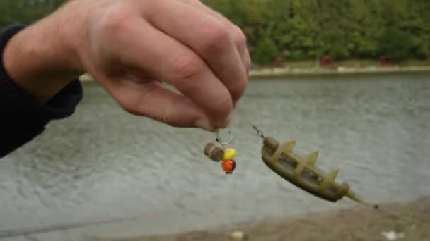 釣り人の手の中のフックベイト — ストック動画