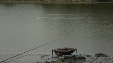 Sign of fish on the surface of a lake in the rain