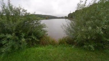 A fishing lake view between the reeds and plants