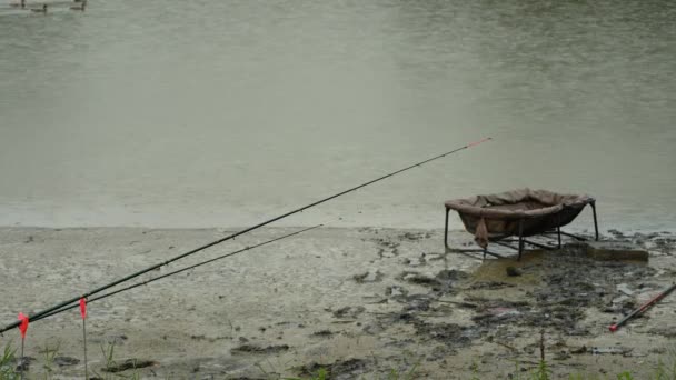 Angler Catching Fish Lake Rainy Weather — Αρχείο Βίντεο