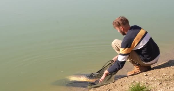 Angler Releasing Fish His Net — Stock video