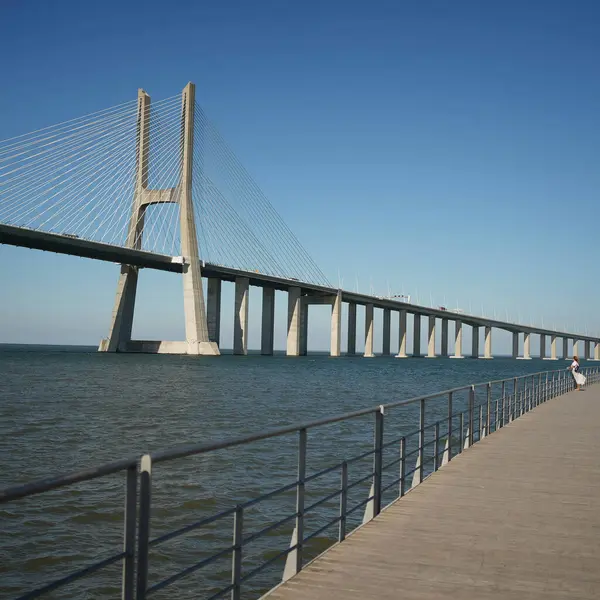 Long and big bridge across the ocean