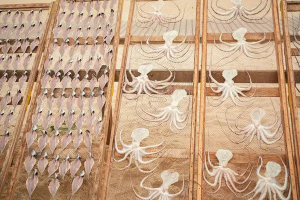 Raw seafood on display in Portugal Nazare