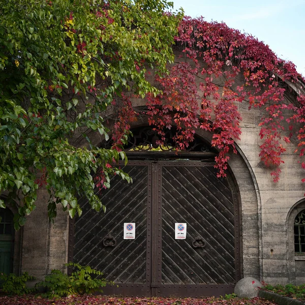 Huge arching iron gate with flowers around
