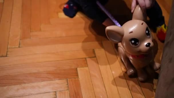 Kid Playing Toy Dog Reaching Its Butt His Hands — Vídeo de stock