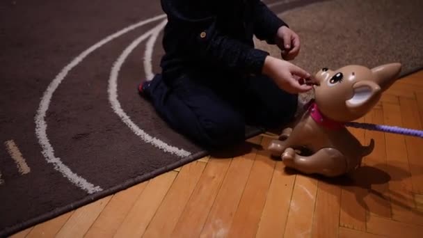 小孩玩礼物玩具狗喂它吃东西 — 图库视频影像