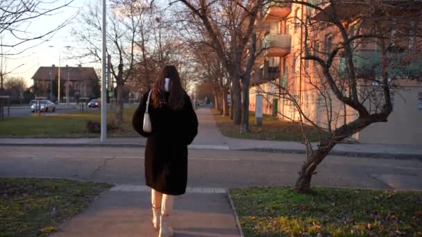 Kışın Karşıdan Karşıya Geçen Uzun Boylu Güzel Bir Genç Kız — Stok video