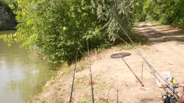魚を釣る棒に魚のかみ傷 高品質のフルHd映像 — ストック動画