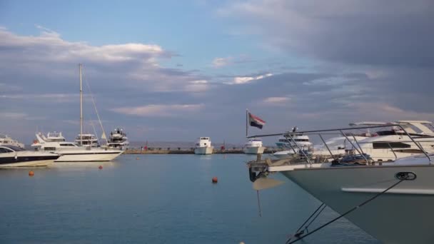 Parcheggio Yacht Bada Con Bandiera Dell Egitto Sventola Filmati Fullhd — Video Stock