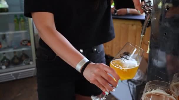 Uma Rapariga Beber Cerveja Num Copo Imagens Fullhd Alta Qualidade — Vídeo de Stock